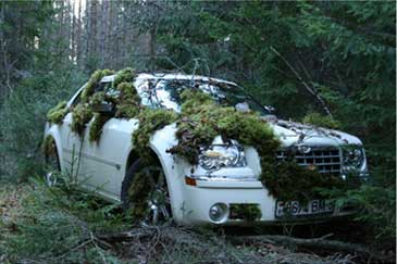 Осенний камуфляж (фотоконкурс AutoFashion 2009)