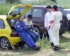 �����-������ 2006